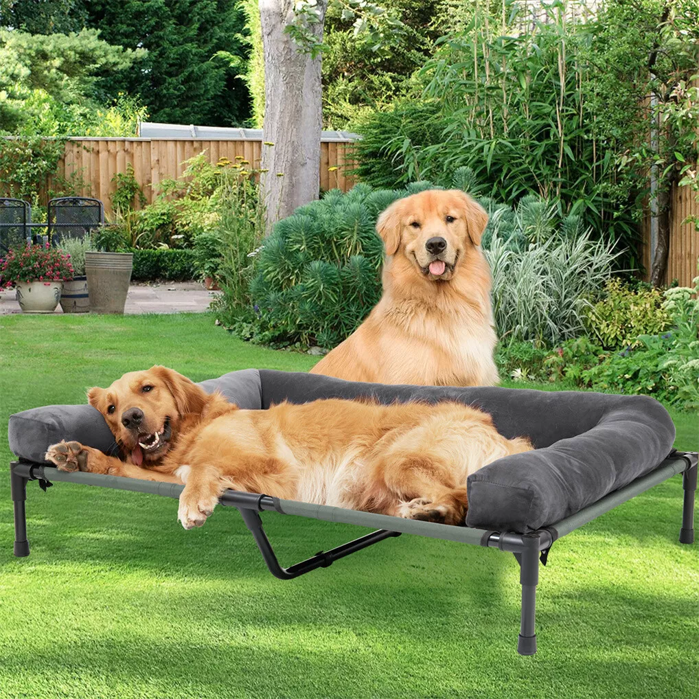 BINGOPAW Outdoor Dog Bed Eleva - Outdoor Camping Cot recension och pris