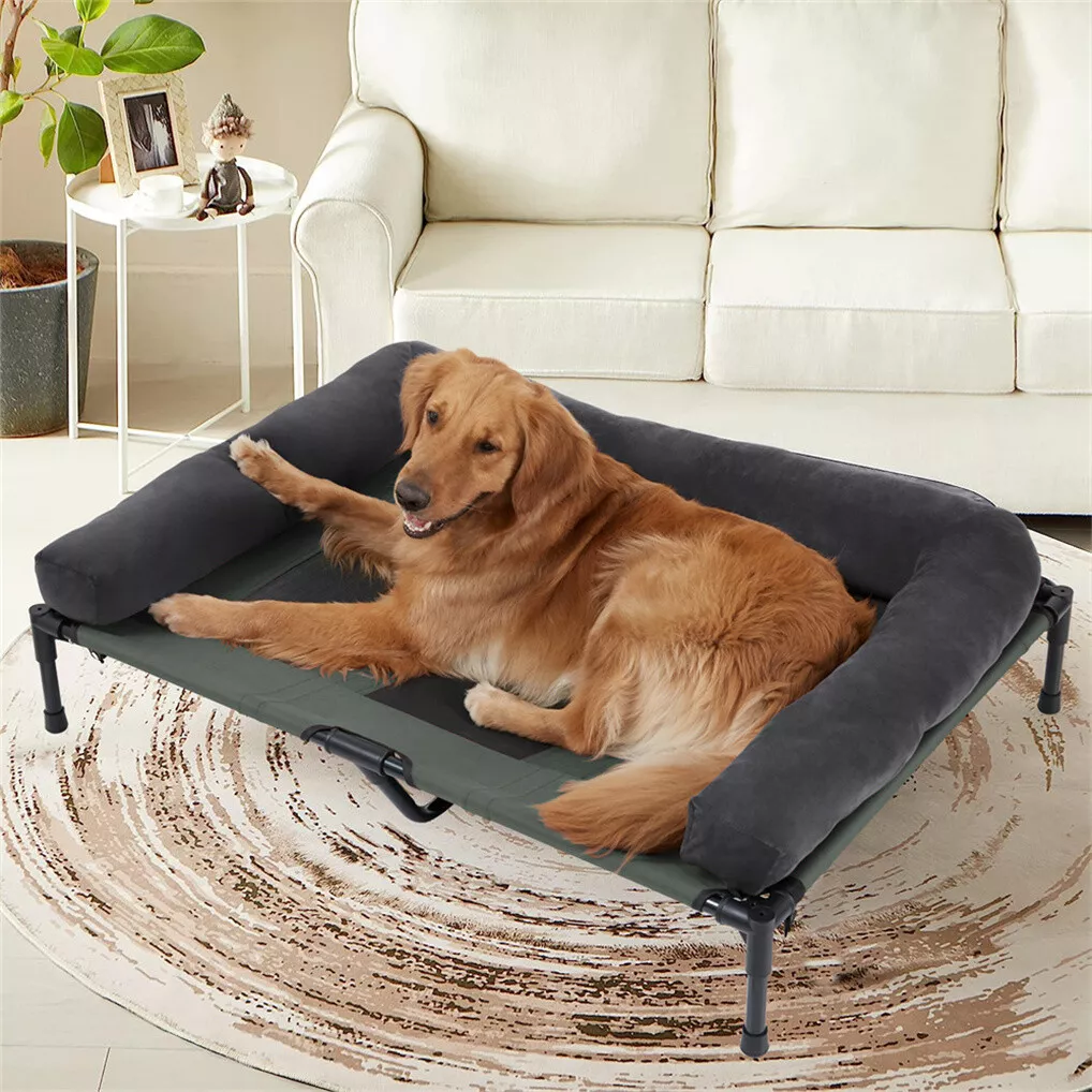 BINGOPAW Outdoor Dog Bed Eleva - Outdoor Camping Cot recension och pris
