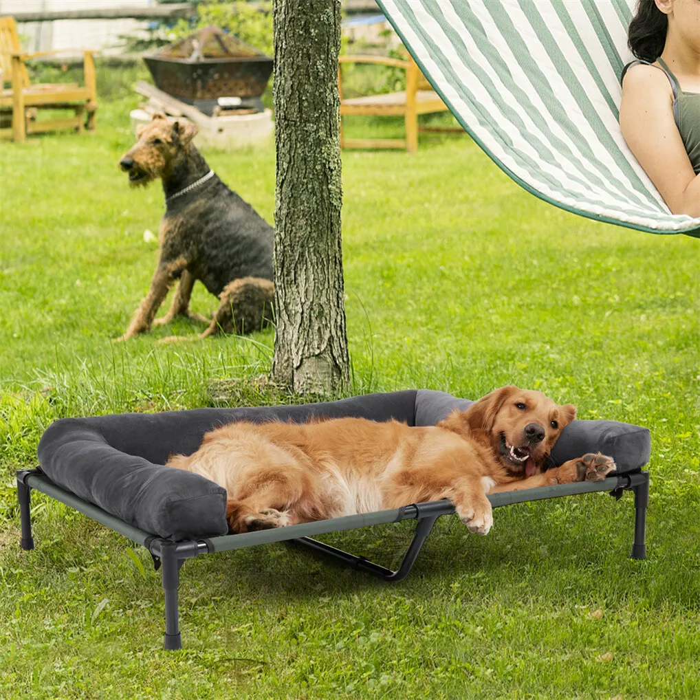 BINGOPAW Outdoor Dog Bed Eleva - Outdoor Camping Cot recension och pris