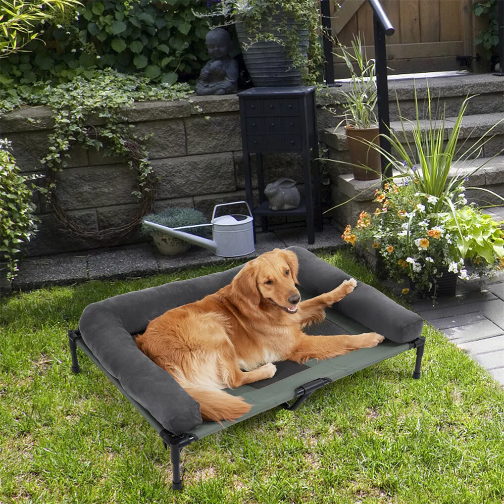 BINGOPAW Outdoor Dog Bed Eleva - Outdoor Camping Cot recension och pris
